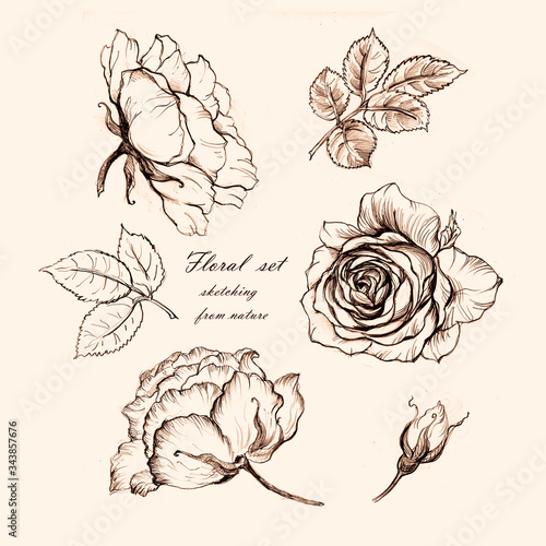 A sketch from nature flowers roses