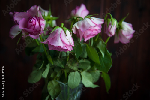 Wallpaper Mural pink roses wither in a vase on a dark background Torontodigital.ca
