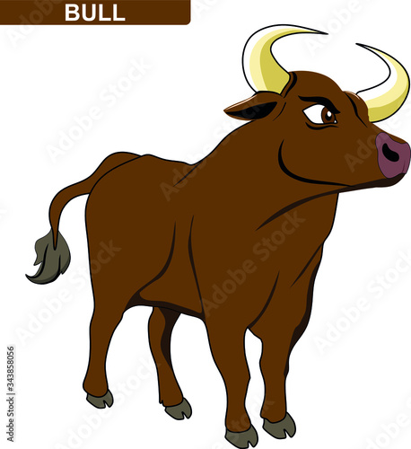 illustration of a bull cartoon. Angry and wild