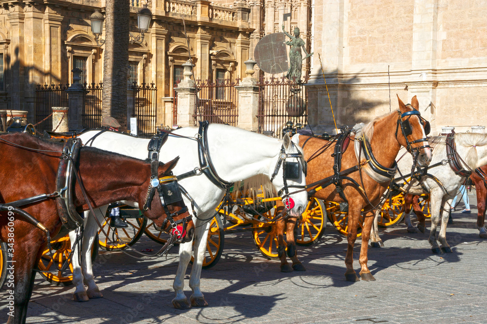 Horses and carriages in Seville