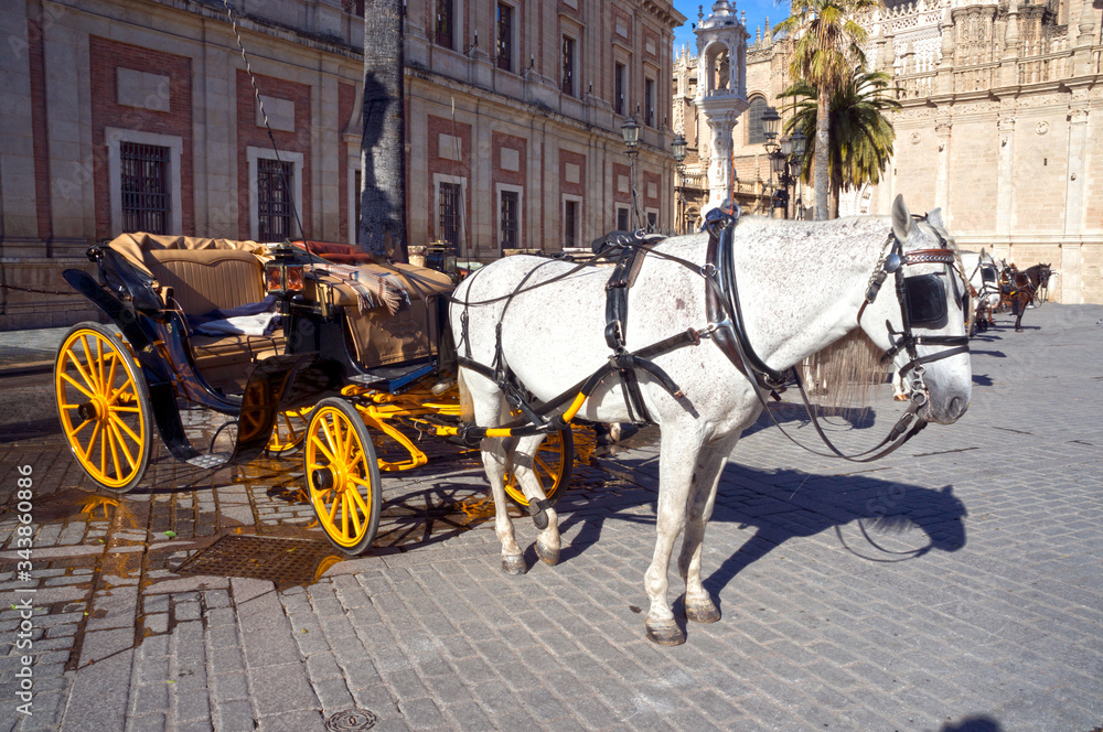 Horses and carriages in Seville