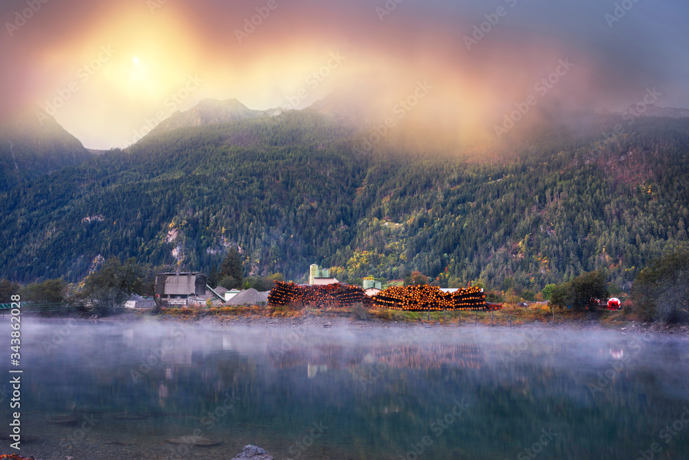 Fototapeta premium lake in the Poschiavo, Felled trees