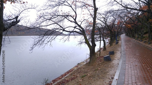 Boardwalk across Bomun Lake. 'Bomun Lake' is the biggest lake in Gyeongju, Korea photo