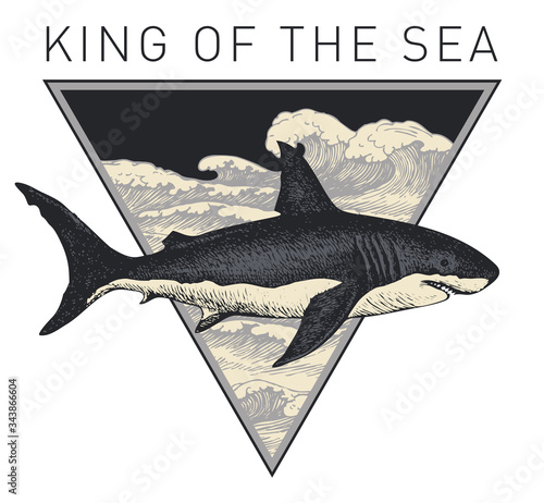 Vector banner on the theme of adventure, travel and discovery with the words King of the sea. Retro illustration with a hand drawn shark and a triangle with sea waves