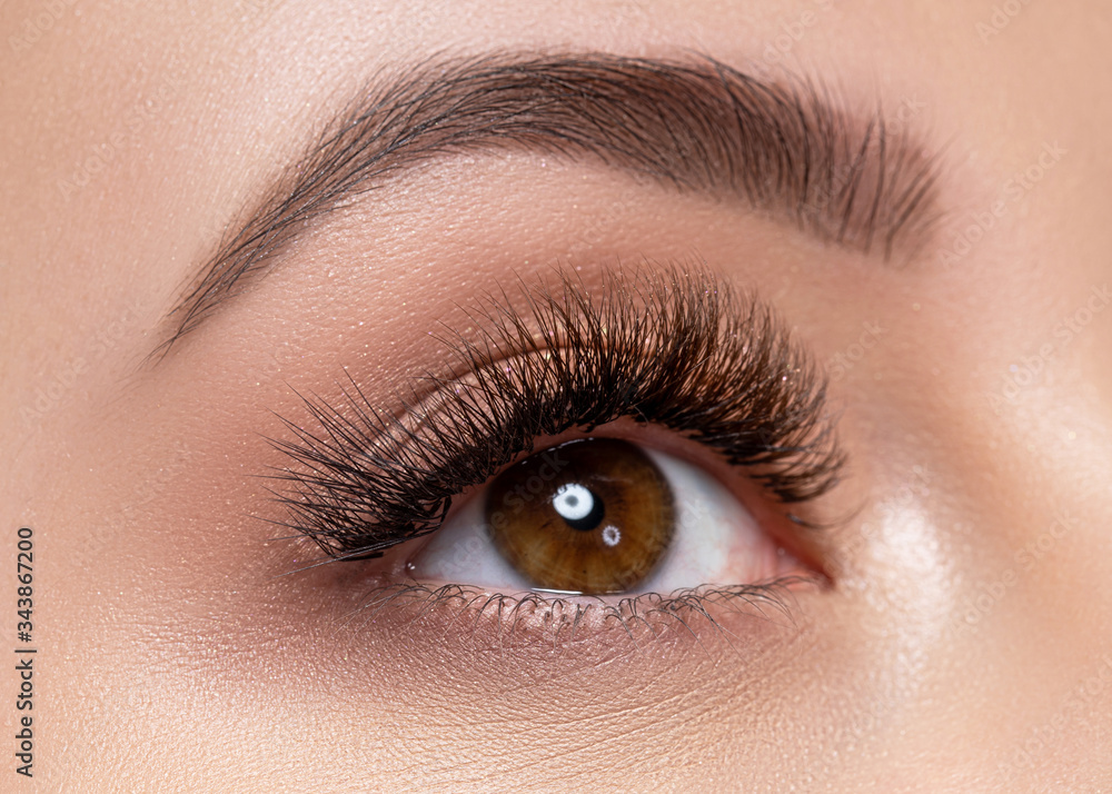 Beautiful macro photography of a woman's eye with extreme makeup of long lashes. Beautiful macro photography of a woman's eye with extreme makeup of long lashes.