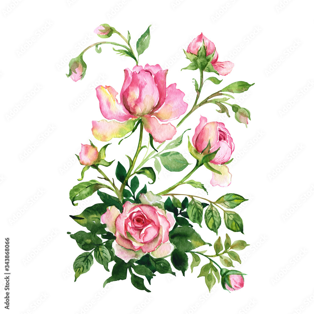 Watercolor a bouquet of roses with buds. Watercolor a bouquet of roses with buds.