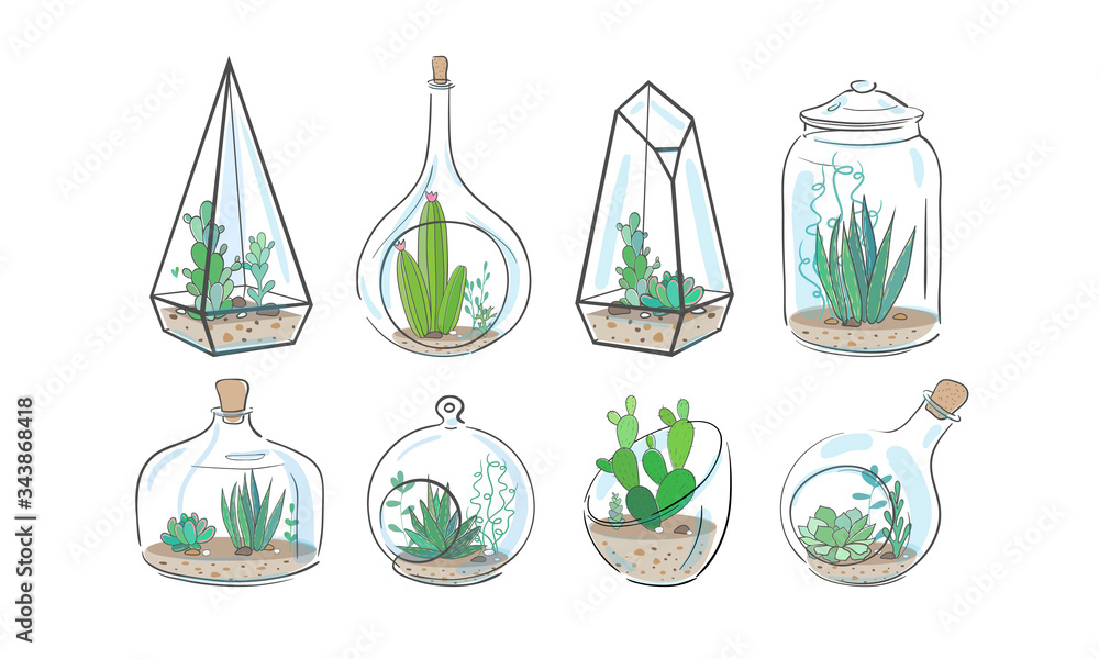 Cactus and succulent plants in glass aquariums and vases isolated on white. Vector floral illustraion. Cactus and succulent plants in glass aquariums and vases isolated on white. Vector floral illustraion.