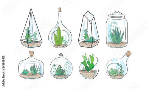 Cactus and succulent plants in glass aquariums and vases isolated on white. Vector floral illustraion. 