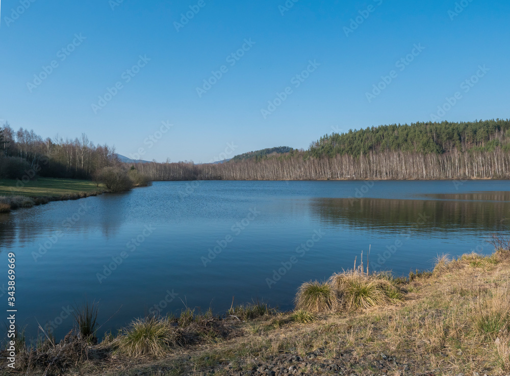 Blue calm water of forest lake, fish pond Kunraticky rybnik with birch and spruce trees growing along the shore and clear blue sky. Nature background. Early spring landscape.