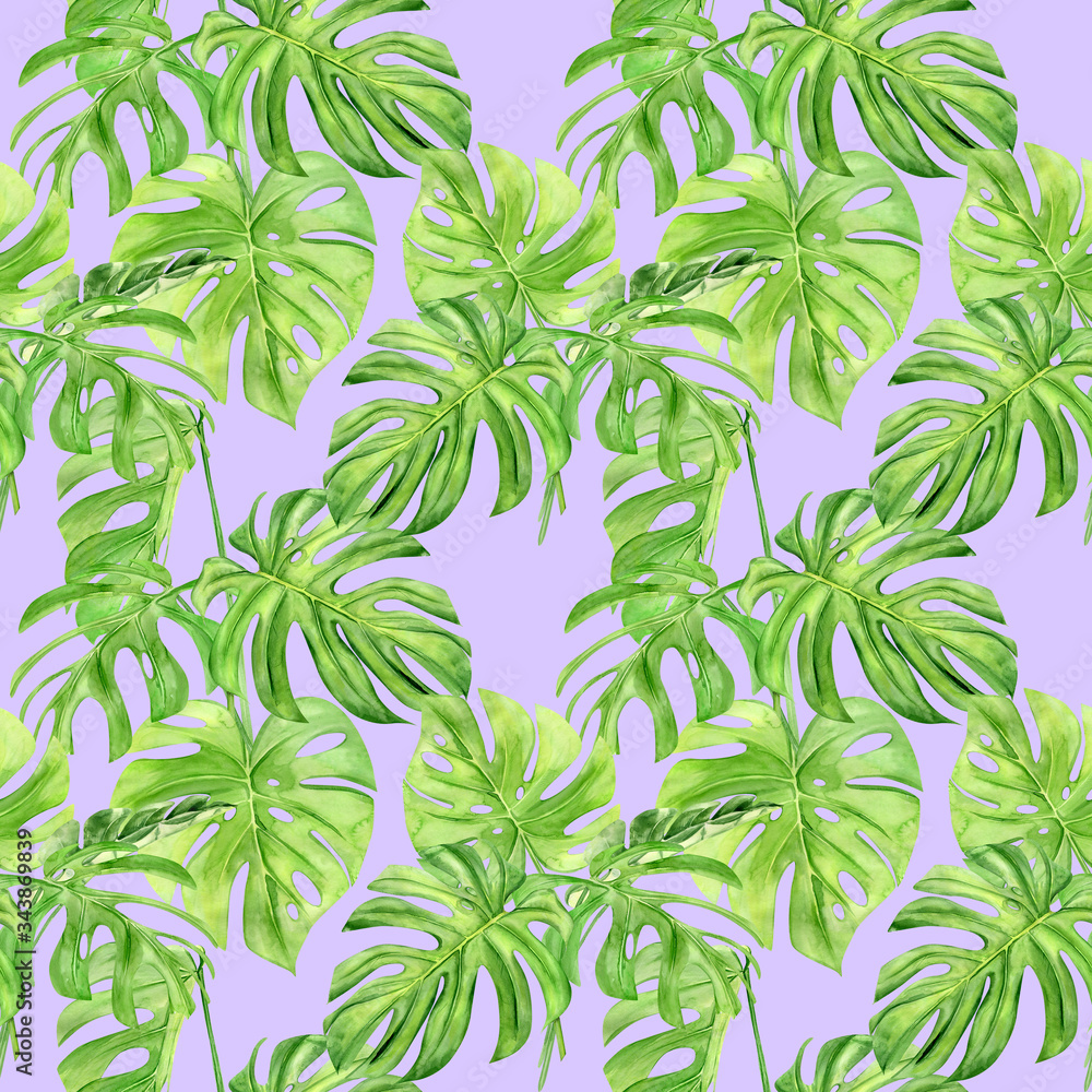 Watercolor illustration seamless pattern of tropical leaf monstera. Perfect as background texture, wrapping paper, textile or wallpaper design. Hand drawn Watercolor illustration seamless pattern of tropical leaf monstera. Perfect as background texture, wrapping paper, textile or wallpaper design. Hand drawn