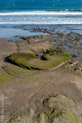 beach el medano