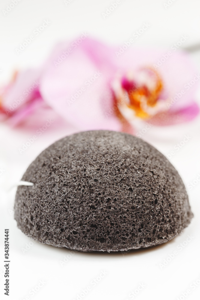 Skin Care Konjac Cleansing Sponge Close Up Skin Care Konjac Cleansing Sponge Close Up