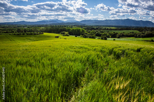 Spring landscape