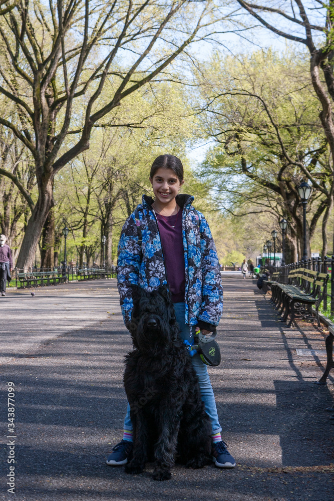 Lovely young girl training a Giant Schnauzer in Central Park