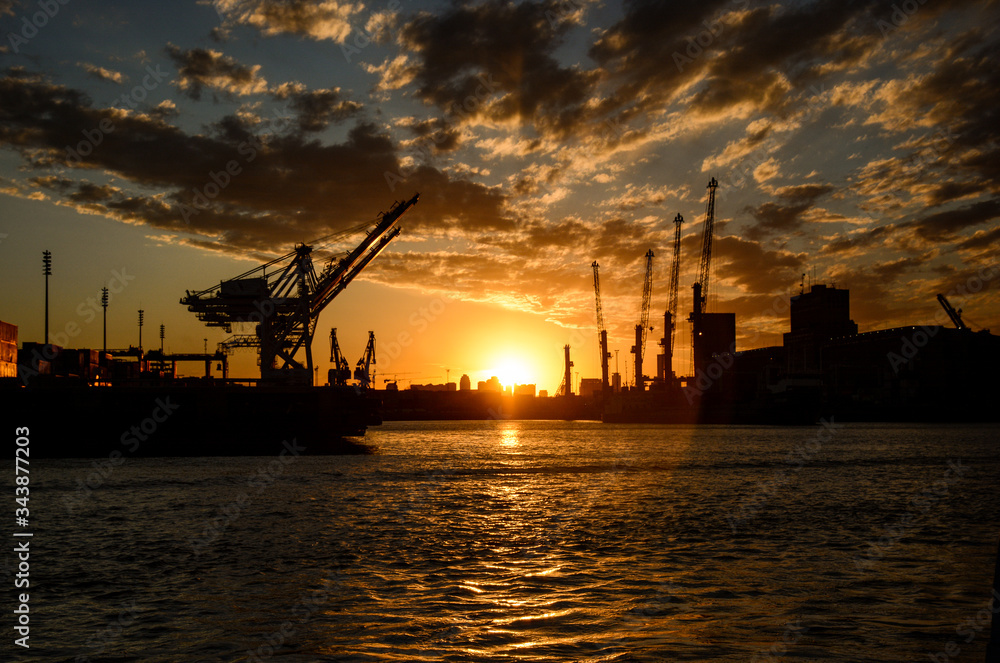 Fototapeta premium cranes at sunset