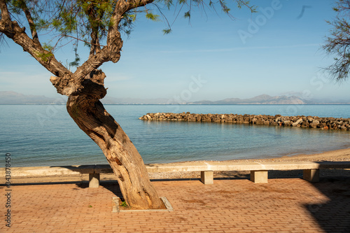 Promenade an Spaniens K  ste mit Blick auf das Meer