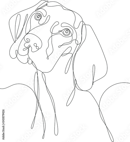 testa di cane disegnata a linea singola continua, isolata su sfondo bianco