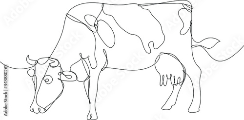 mucca disegnata a singola linea continua