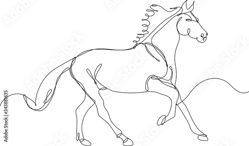 cavallo disegnato a singola linea continua