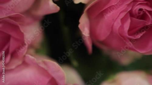 A large bouquet of bright pink roses with green buds and leaves, close-up.