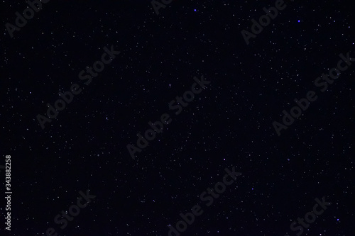 Long exposure night photo. A lot of stars with trees on foreground. Far from the city.
