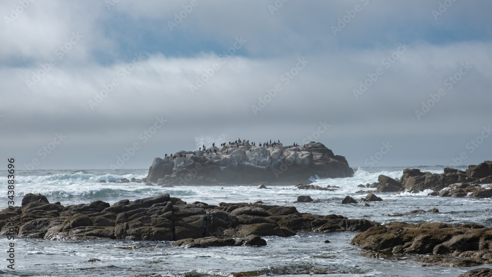 island of birds in pacific ocean