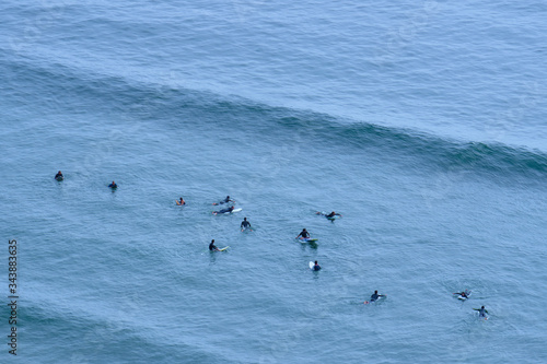 Fotografía Birds rest peacefully lulled by the waves of the ocean