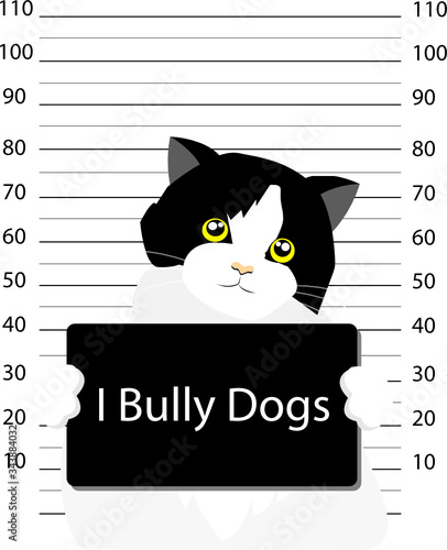 Front view mug shot of adorable persian tuxedo cat holding banner "I bully dogs"with measuring scale background. Idea for funny cat behavior/instinct and animal's cute template, background.
