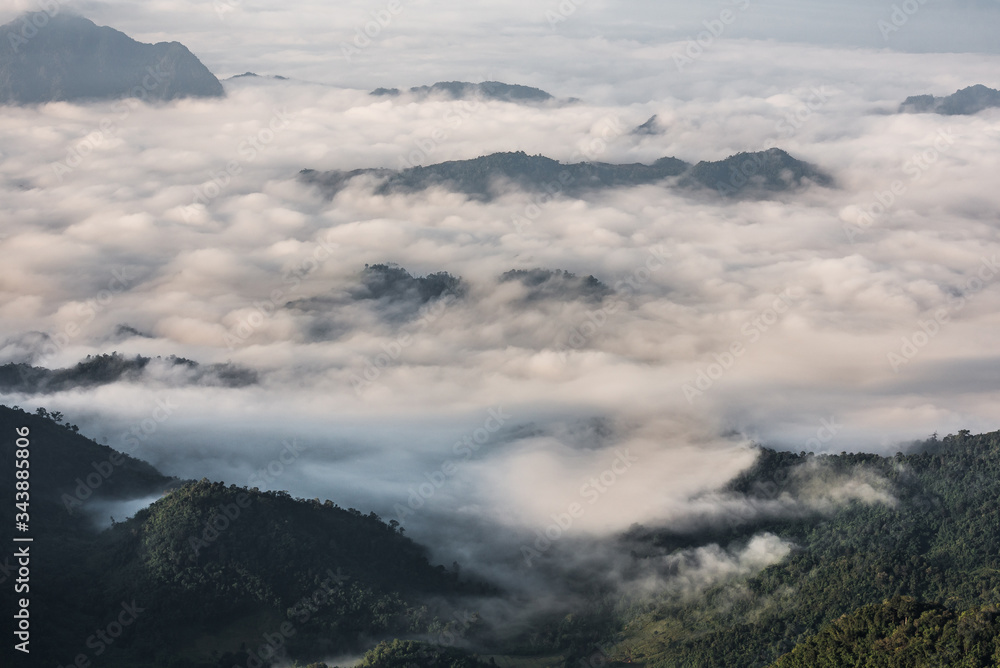 Panorama sea of fog with forests and mountains ridge and grass meadow around trails on the mountain. Beautiful in nature landscape, Doi Thule, Tak province, Thailand Panorama sea of fog with forests and mountains ridge and grass meadow around trails on the mountain. Beautiful in nature landscape, Doi Thule, Tak province, Thailand