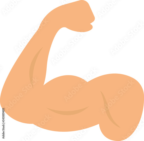 muscle 