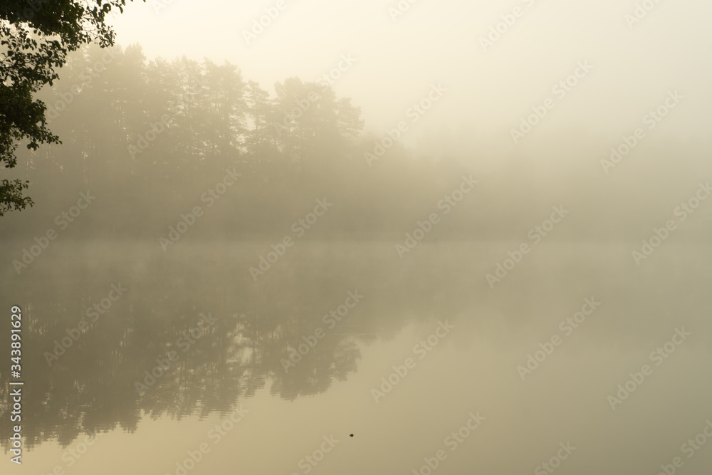 Real is beautiful. Fresh early morning mist in the forest with a lake or river. Beautiful sunrise in the woods with a fog and lake. 