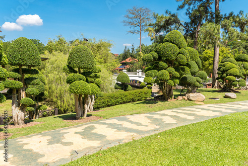 Photography Box trees in the botanical garden of Kuala Lumpur