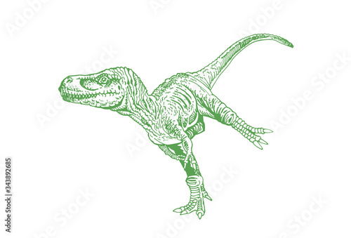 Graphical green sketch of raptor isolated on white background,vector illustration, dinosaur