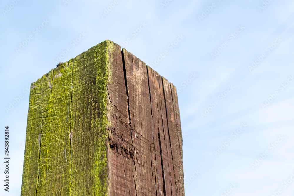 Isolated brown painted and weather proofed fence post with the brown weathered paint on the one side and green moss growing on the other. Set against a blue cloudy sky. Isolated brown painted and weather proofed fence post with the brown weathered paint on the one side and green moss growing on the other. Set against a blue cloudy sky.