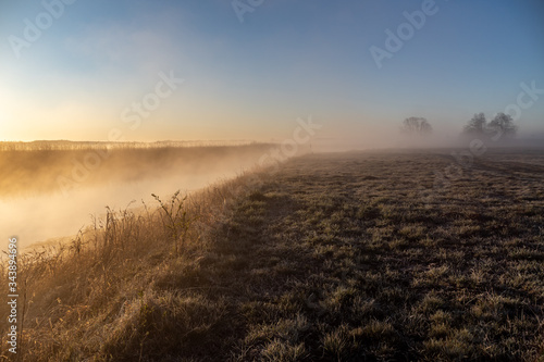 Poranek w Dolinie Narwi. Rzeka Narew. Podlaskie wierzby  Polska