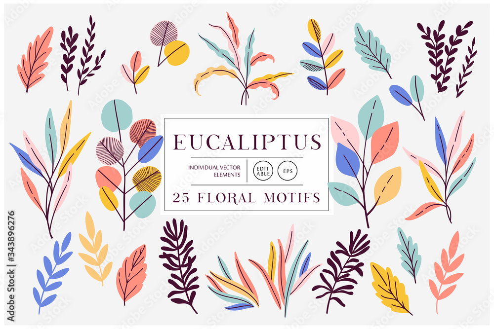 Eucaliptus set isolated on bright background. Vector modern design for t-shirt,print material,cloth and textile. For invite and wedding card,wallpaper,poster,greeting card