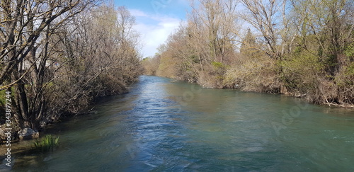 river in the forest