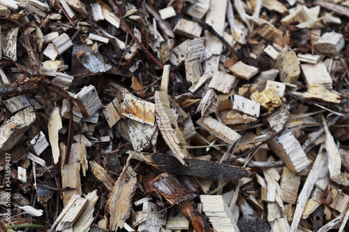 Wallpaper Mural Hackschnitzel als nachhaltige Heizungs Methode mit Biomasse für Energiegewinnung Torontodigital.ca