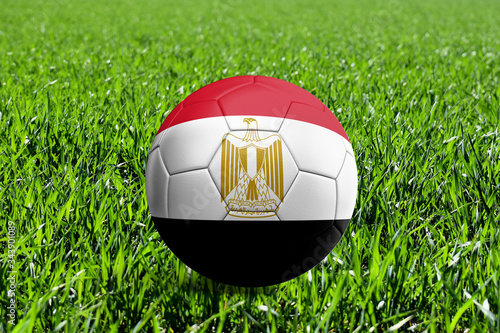 egypt soccer ball on green grass
