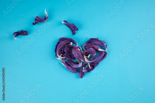 love and romance concept. simple. The violet petals at heart shape on a blue background. outer space.
