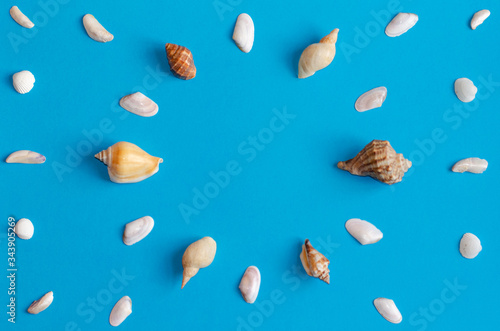 Creative various seashell pattern on pastel blue background with copy space. Summer flat lay.