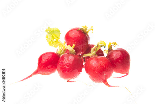 Radish isolated on white ba...
