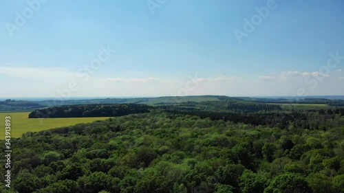 Wallpaper Mural Green Forrest from above in England Torontodigital.ca