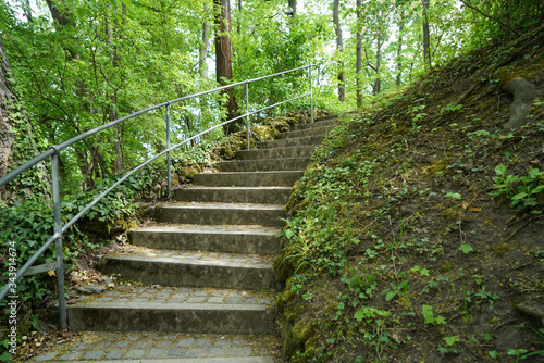 stairs in the forest