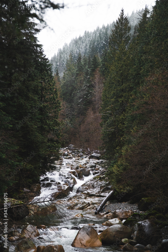 Obraz premium River in a forest in winter 