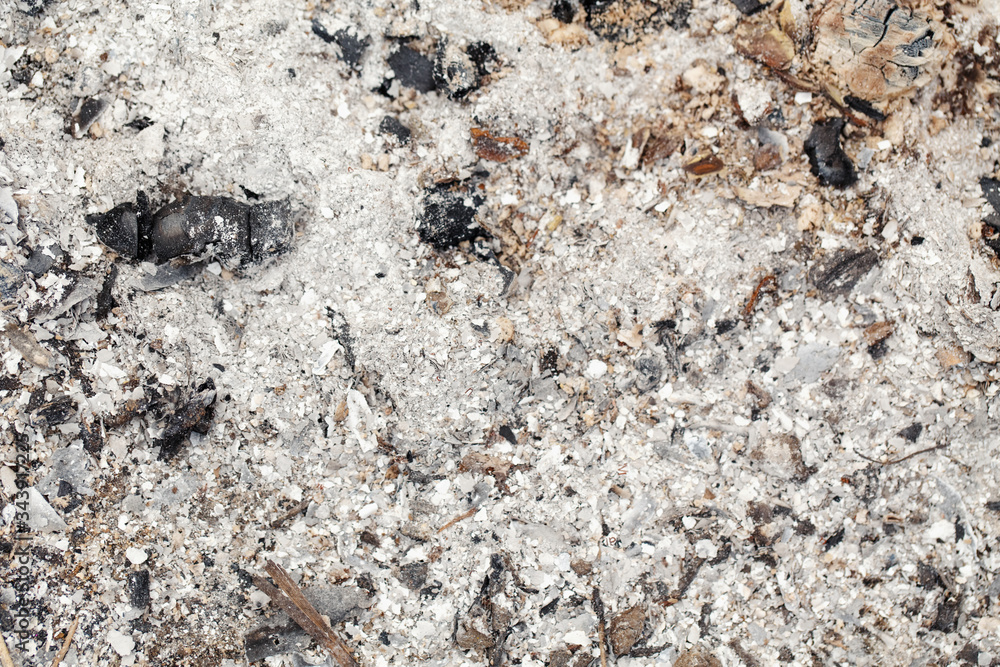 Natural ash charcoal fire place texture background. Closeup macro of old aged burnt wood. Abstract burnt tree log nature backdrop or a wallpaper. Dirty messy surface of firepit with copyspace. Natural ash charcoal fire place texture background. Closeup macro of old aged burnt wood. Abstract burnt tree log nature backdrop or a wallpaper. Dirty messy surface of firepit with copyspace.