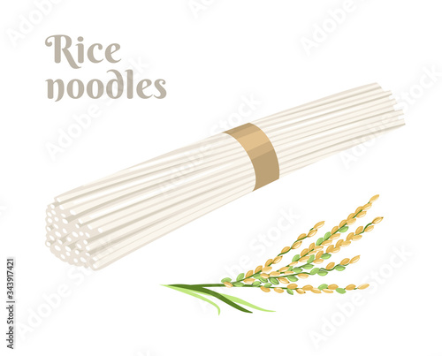 Uncooked rice noodles and an ear of rice isolated on a white background. Vector illustration of asian food in cartoon flat style.
