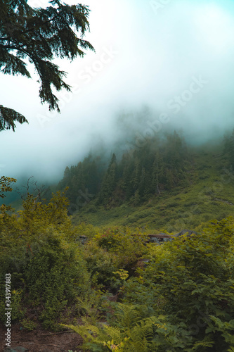 Fog on a mountainside 