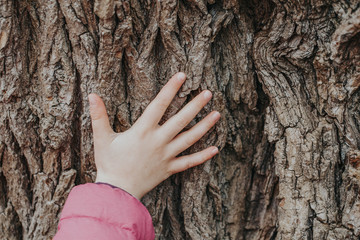 Closeup of child hand touching old tree. World Earth Day holiday. Natural wooden texture background. Save the planet nature environment concept. Connection with mother nature.