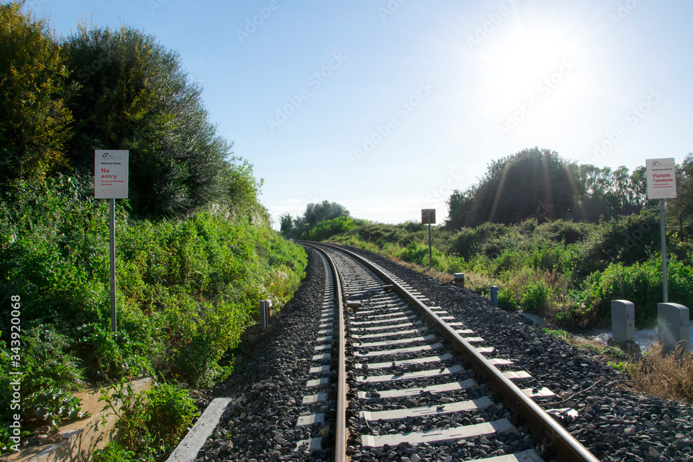 Fototapeta premium binario nella natura